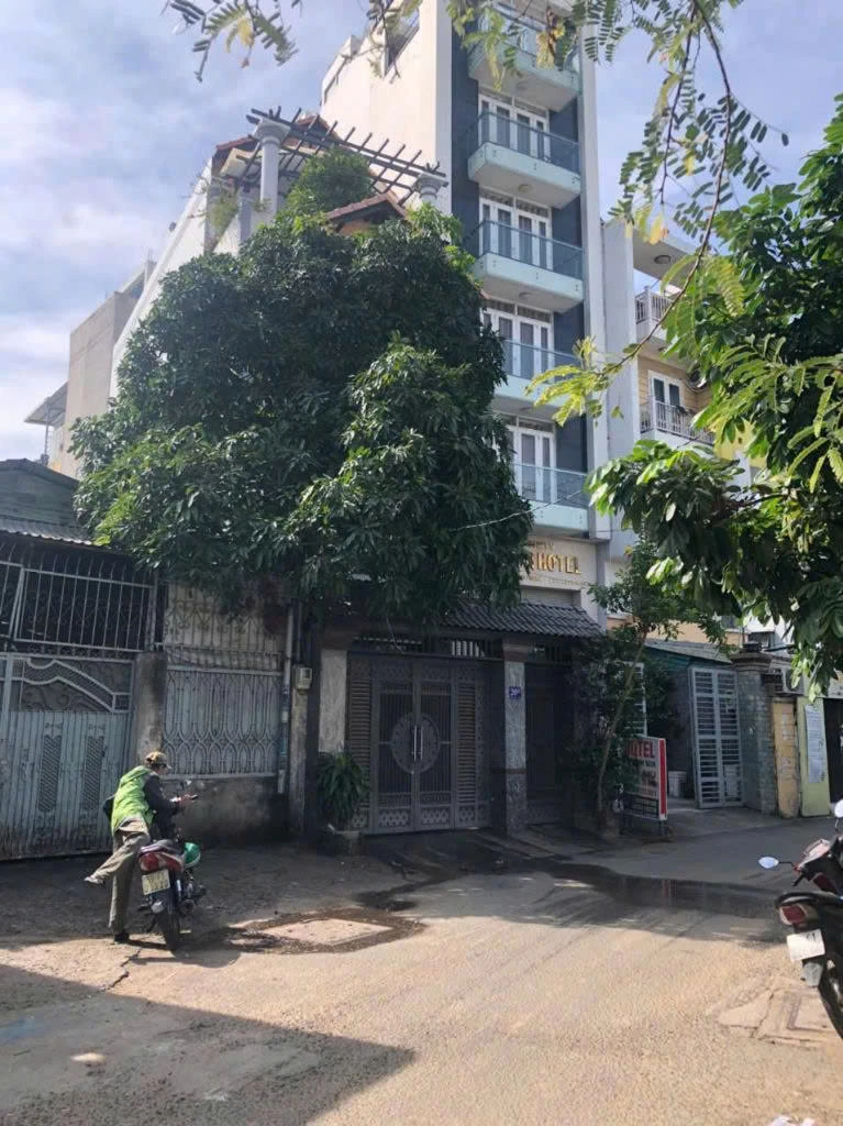 Bán nhà mặt tiền nguyễn trọng lội phường tân sơn hòa, hồ chí minh giá thỏa thuận