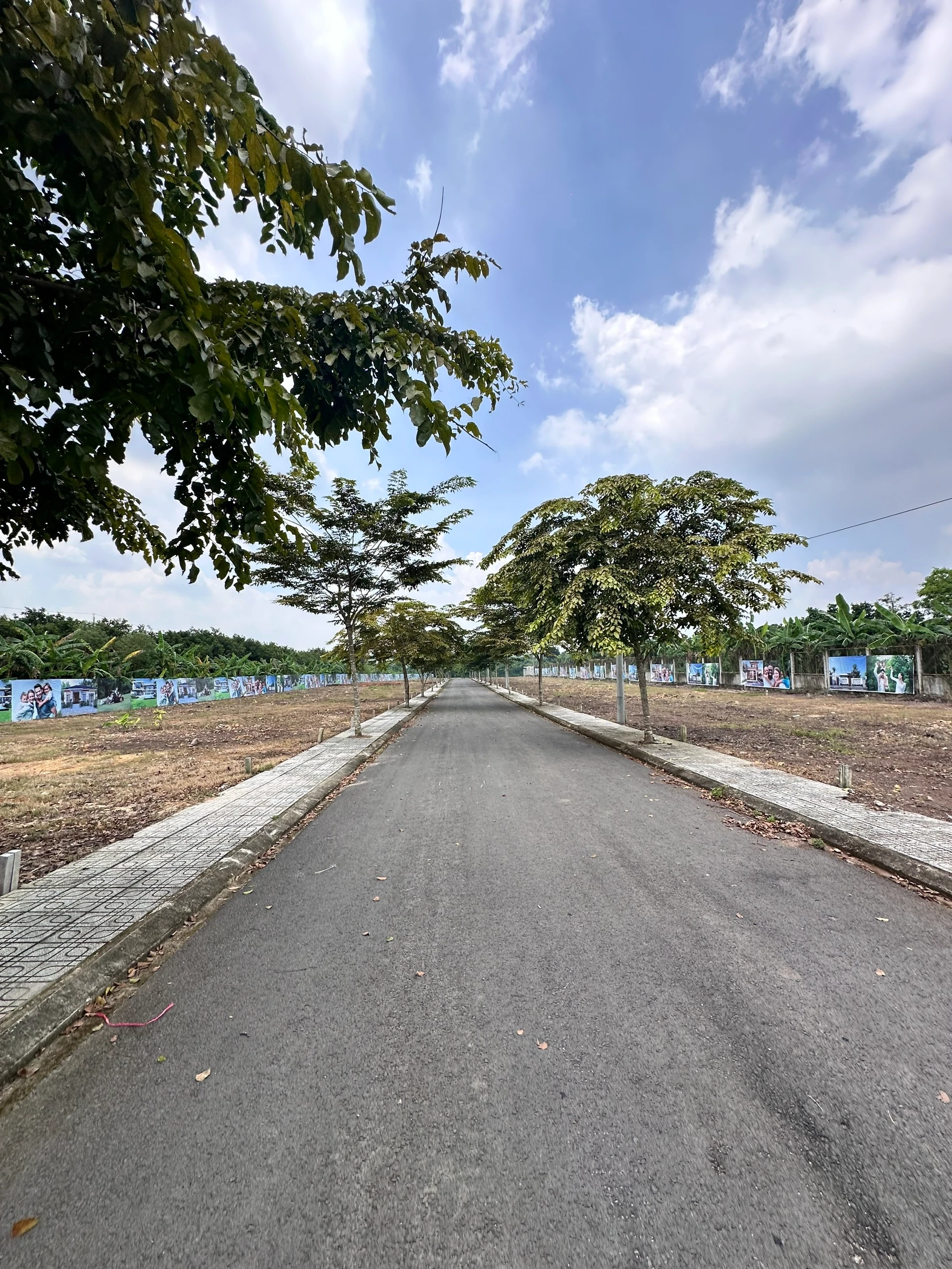 Giỏ Hàng S1 Giá Tốt nhất dự án Emerlad City, SỔ SẲN - VỊ TRÍ ĐẸP -  TIỆN ÍCH- CƠ HẠ TẦNG HOÀN CHỈNH