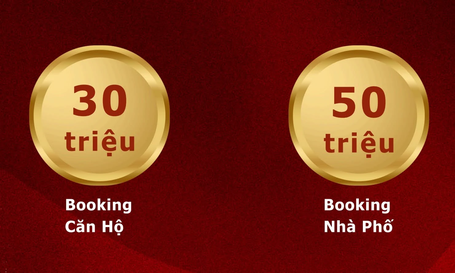 Chính Thức Nhận booking căn hộ Saint Mary Light Bến Cát Giá Đợt 1