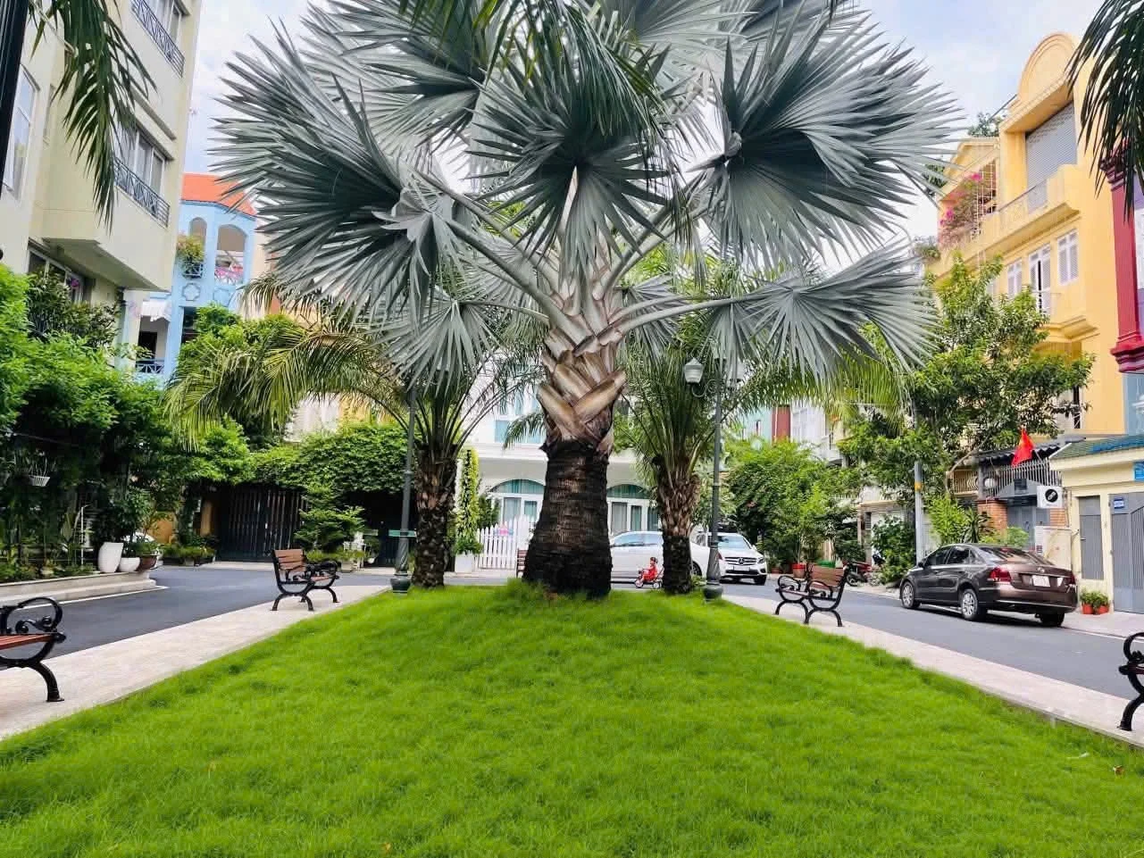 Bán Biệt thự 357A/21 Nguyễn Trọng Tuyển, Phường Tân Sơn Hòa, Hồ Chí Minh giá 66 tỷ