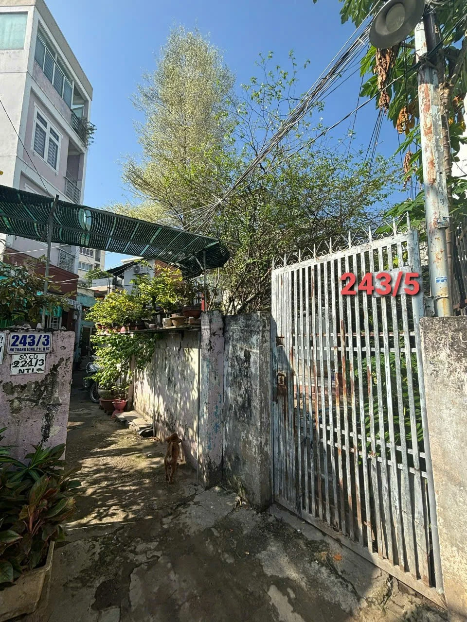 Bán nhà 243/5 Nơ Trang Long, Phường Bình Lợi Trung, Hồ Chí Minh giá 14 tỷ