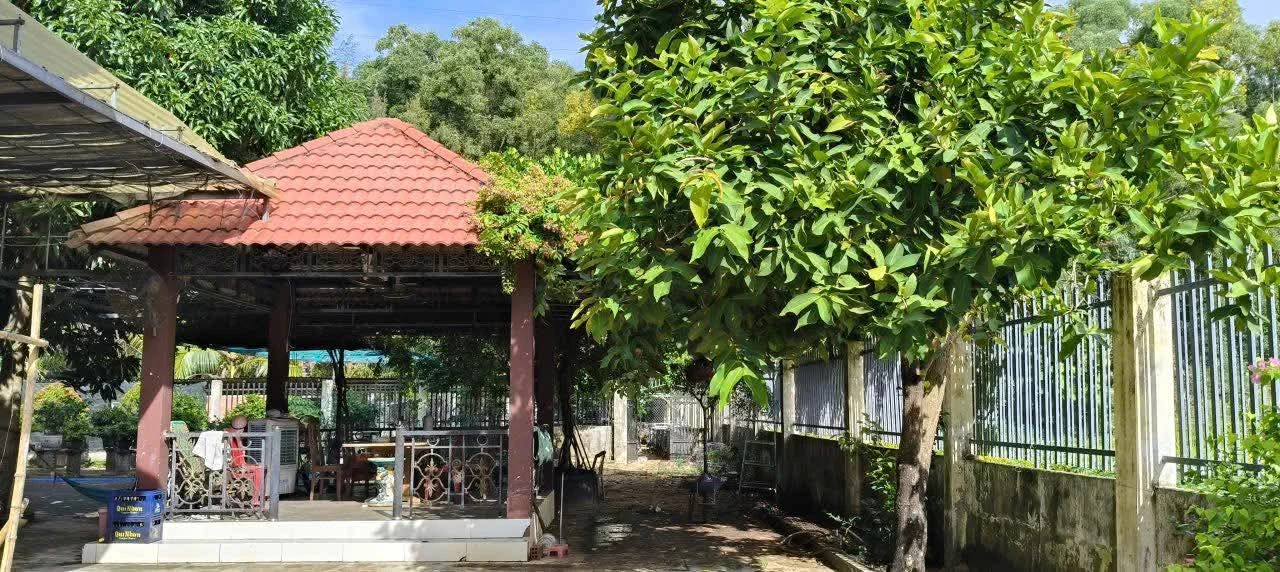 Bán Biệt Thự Sân Vườn khu Tđc Nhơn Phước Nhơn Hội Tp Quy Nhơn