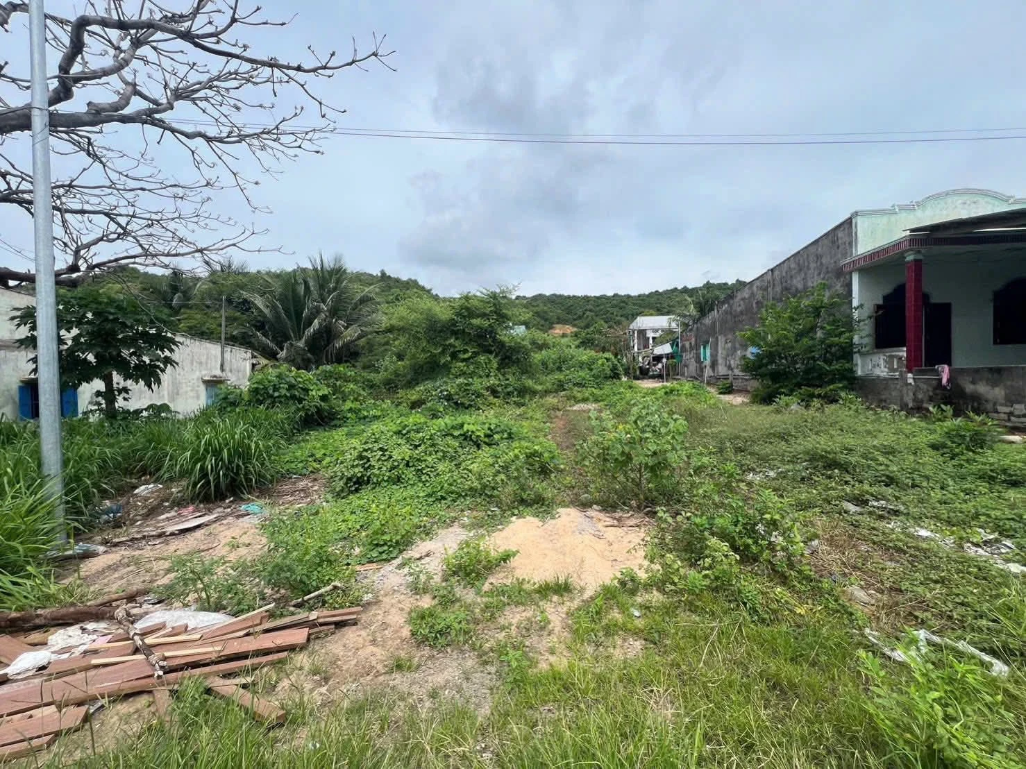 Bán đất Mặt Tiền Lạc Long Quân Phường Tiến Thành Bình Thuận ( Lâm Đồng )