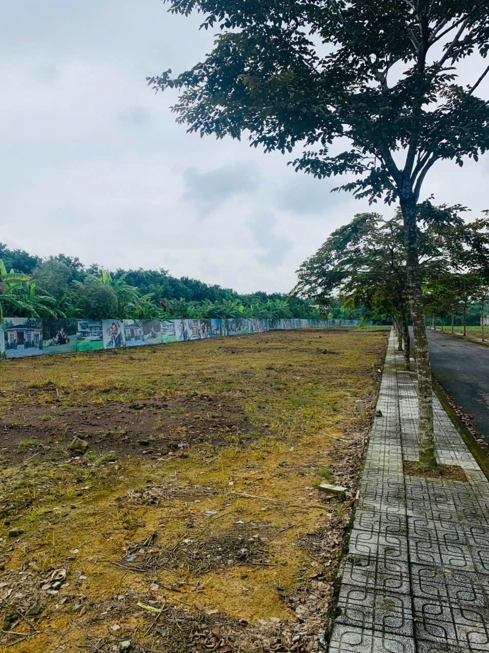 Bán đất nền - SÂN BAY LONG THÀNH full thổ cư, mặt tiền 5m, đường trước 10m,....