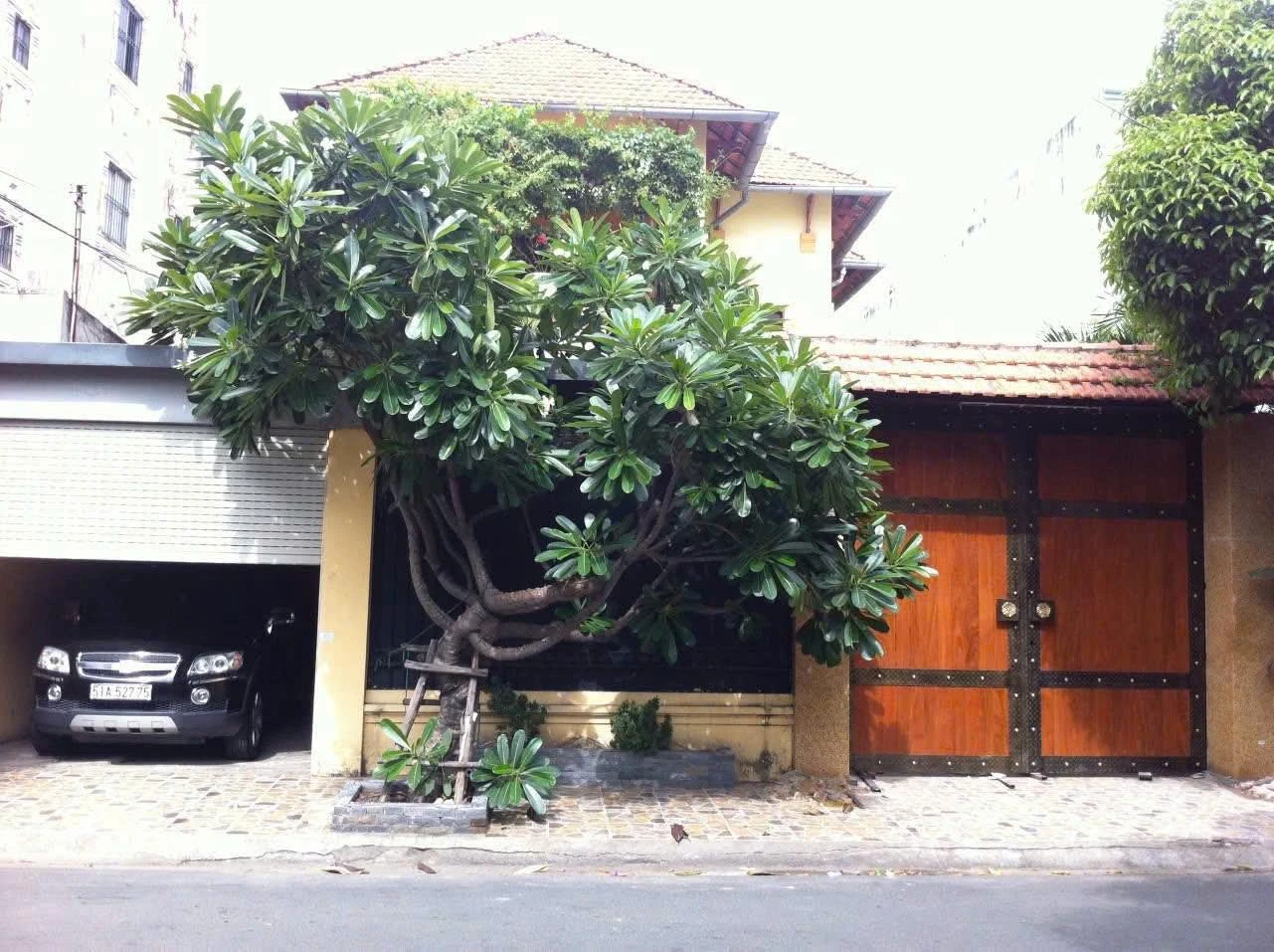 Bán Biệt thự 50 Ngô Bệ, Phường Tân Bình, Hồ Chí Minh giá 68 tỷ