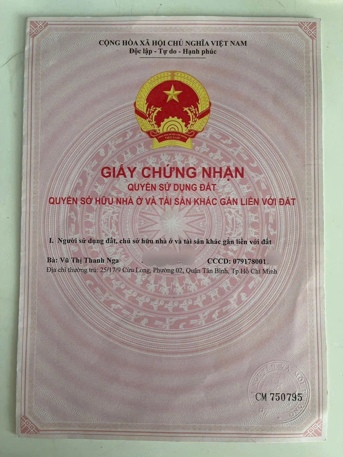 Bán nhà mặt tiền 56 cửu long, Phường Tân Hòa, Hồ Chí Minh giá 28 tỷ