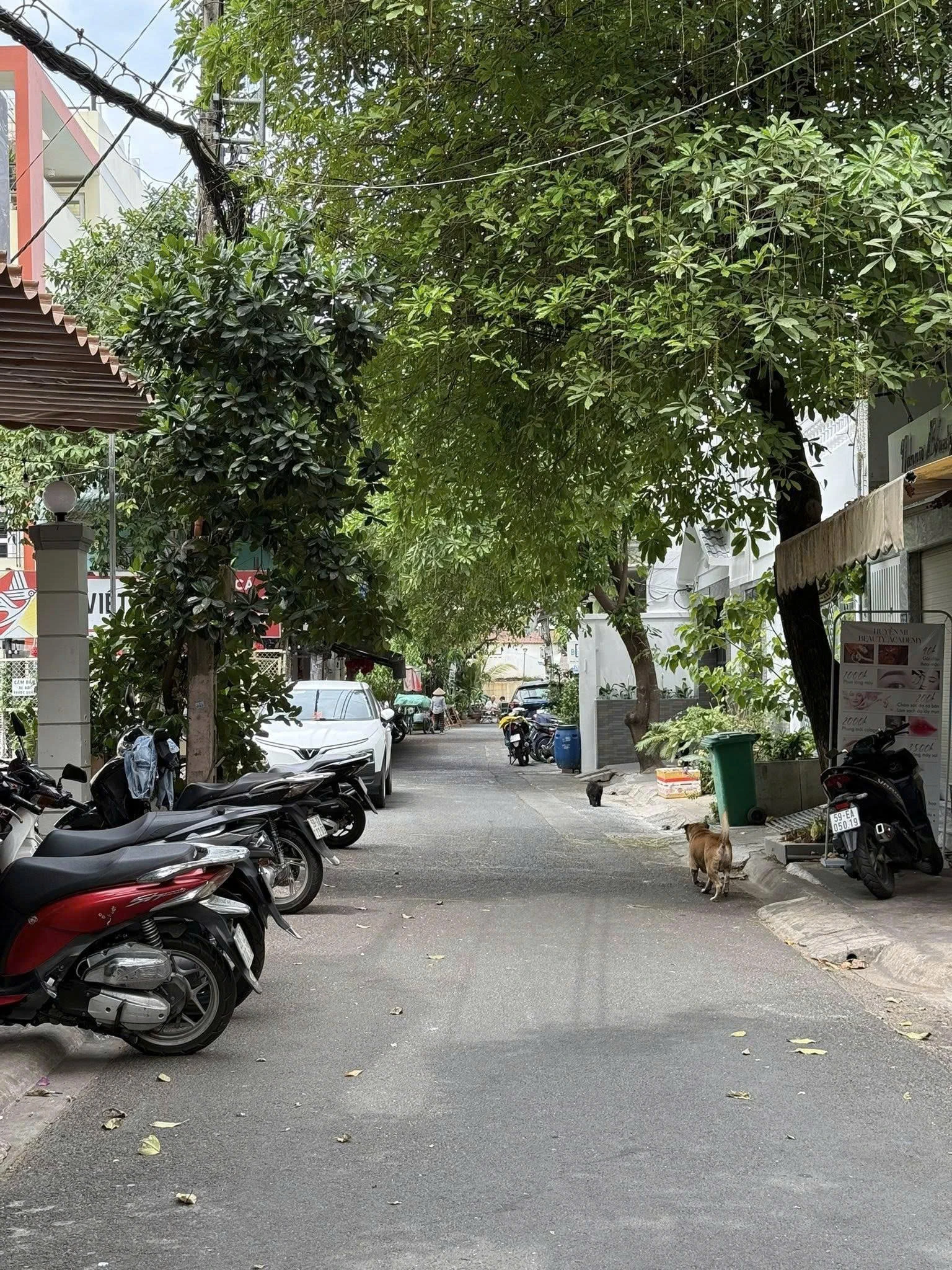 Bán nhà 3c Thích Quảng Đức, Phường Đức Nhuận, Tp Hồ Chí Minh giá 24 tỷ  900 triệu