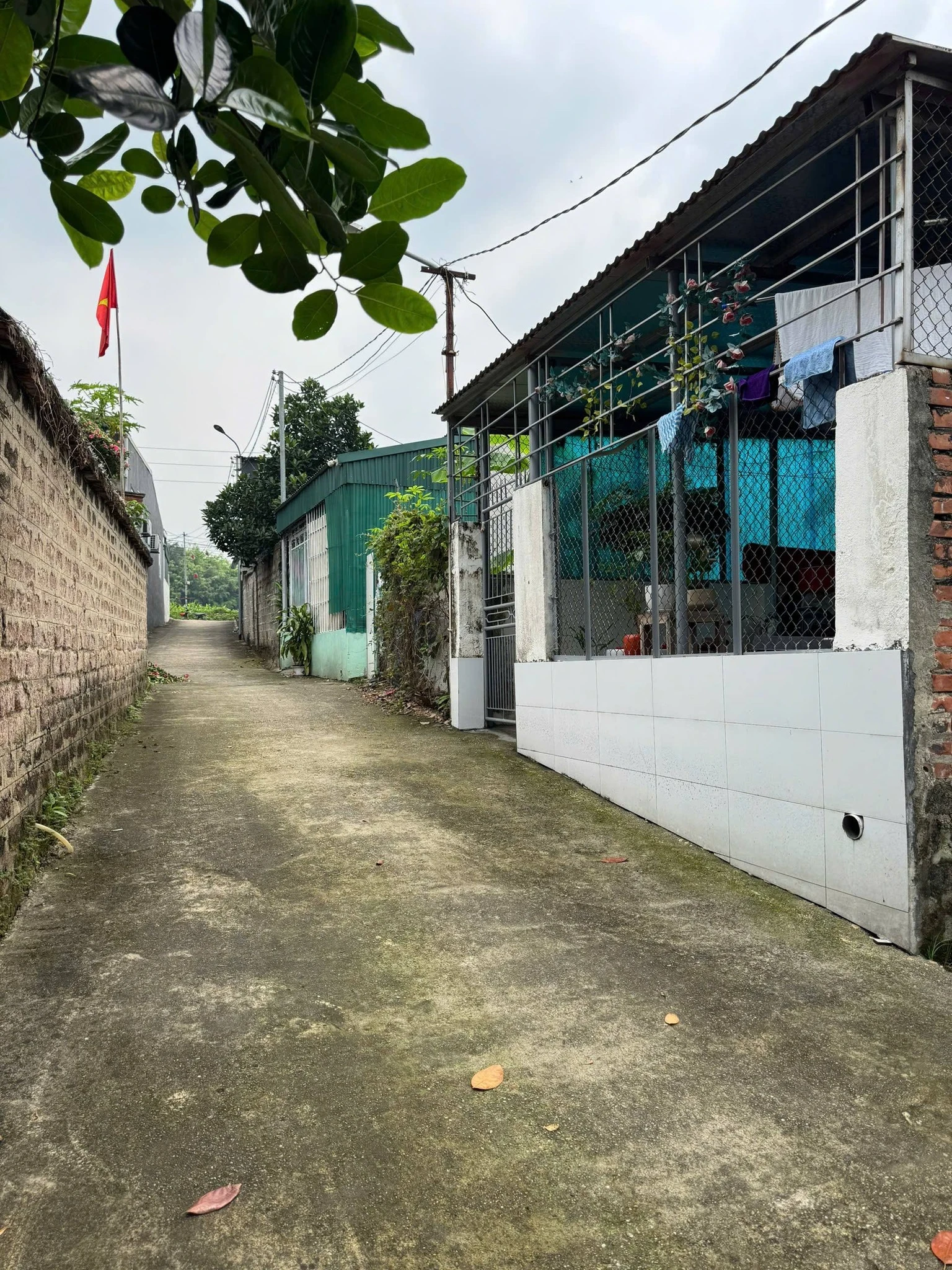 Cần bán nhanh nhà cấp 4 liên minh minh phương, Nông Trang, Phú Thọ