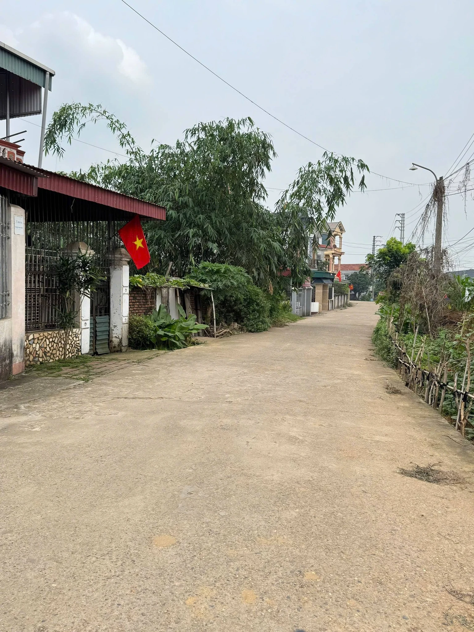 Cần bán nhanh nhà cấp 4 liên minh minh phương, Nông Trang, Phú Thọ