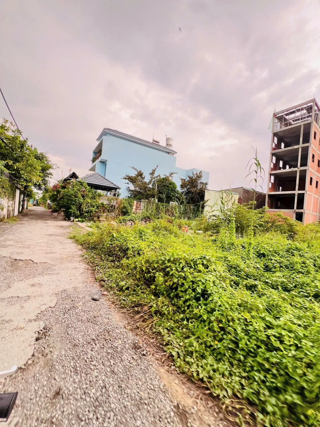 Bán đất Hẻm 94 Vườn Lài, Phường An Phú Đông, Tp Hồ Chí Minh giá 12 tỷ  500 triệu