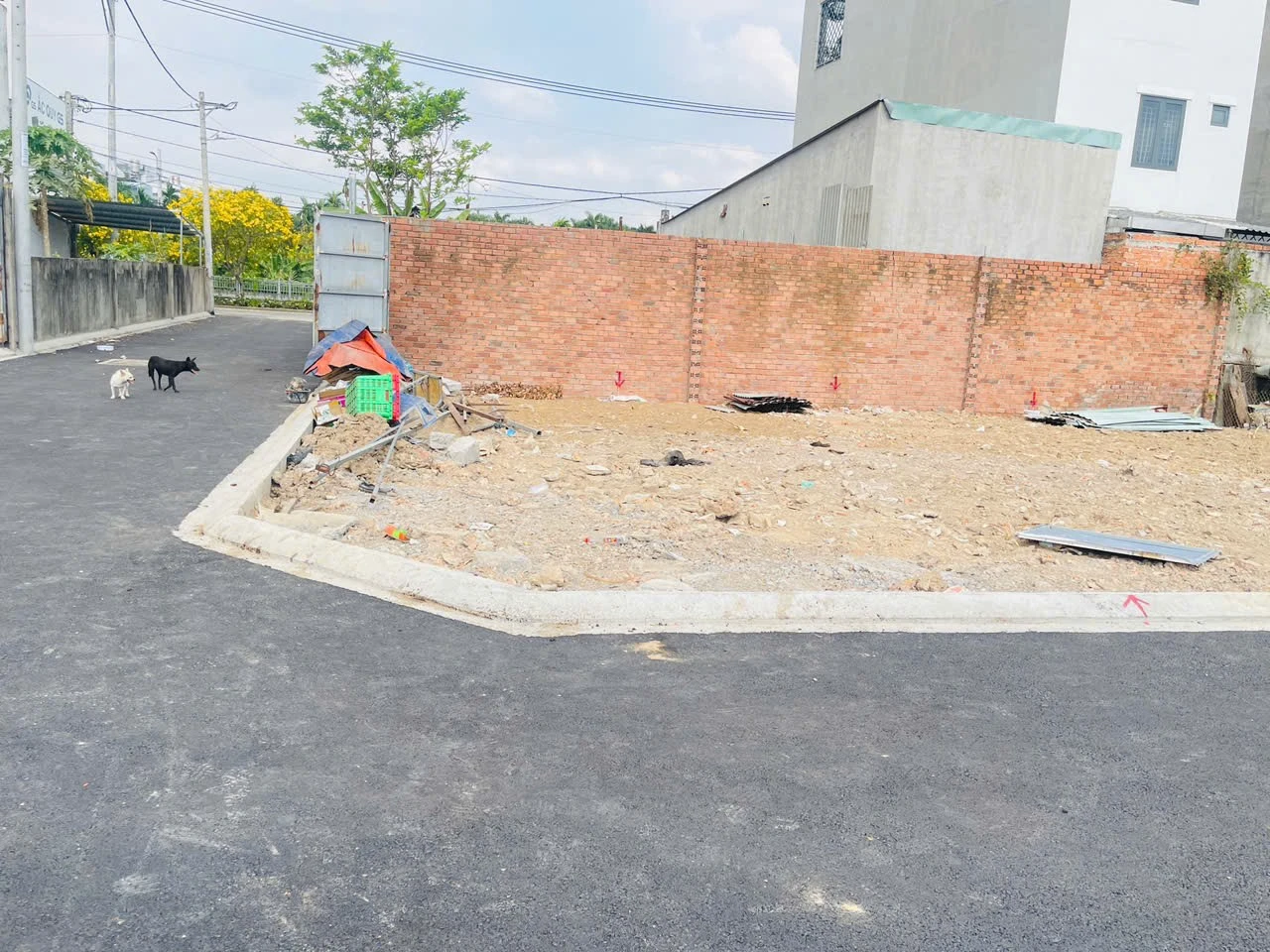 Thượng hạng - sở hữu đất ở Thạnh Lộc 37 Q12 pháp lý chuẩn - 72m2 xây tự do full đất