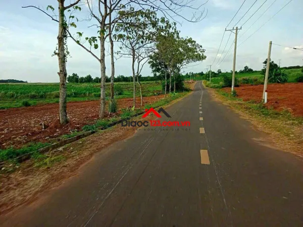 🔥 cắt lỗ sâu 1 tỷ – đất mặt tiền đường nhựa – hưng thịnh, trảng bom, đồng nai