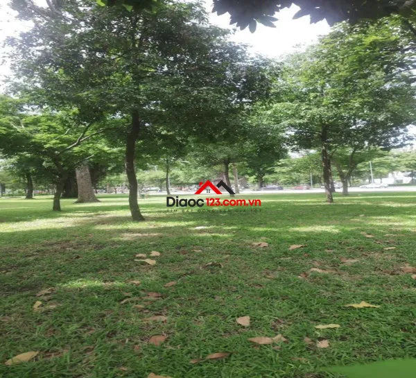 Ban đất hxh đường bạch đằng, phường tân sơn hòa, tphcm, 176m2, ngang gần 5m.