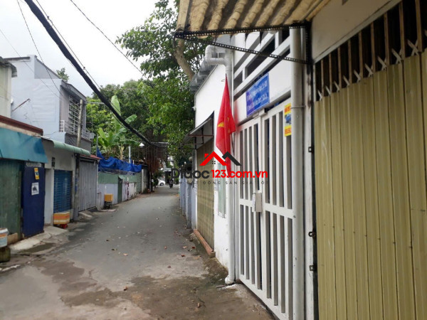 💥cần bán gấp 🏡q2 có dãy trọ 🏡256m² | ngang 11,04m x 25m.  🫰có sẵn 14p cho thuê 60 triệu/tháng.