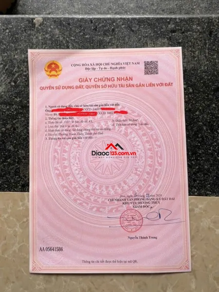 🔥 đất đẹp thanh thủy giá 5xx – sổ hồng sẵn, đường 7m, chốt công chứng tặng ngay chỉ vàng! 🎁💰