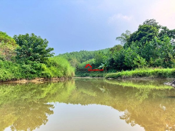 Đất rộng 2.400m² – giá chỉ 3,6 triệu/m² – mường bi, phú thọ