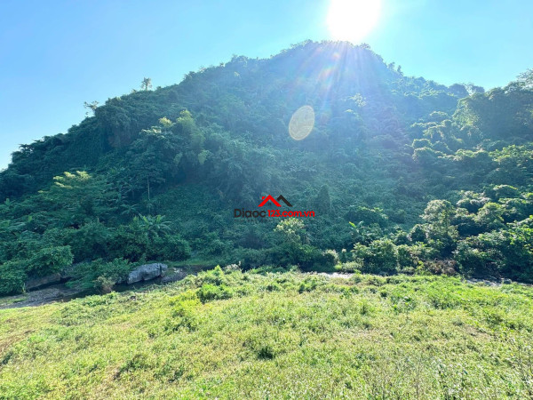 Bán 2.830m² đất đẹp – view thoáng tại mường bi, phú thọ