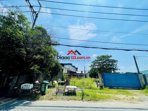 Bán đất tại Trần Văn Chẩm, Tân Thông Hội, Củ Chi, TP.HCM, 3,5 tỷ, 282 m2, Hot!
